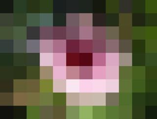 S10_Images